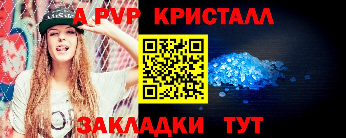 A PVP СК КРИС Вольск