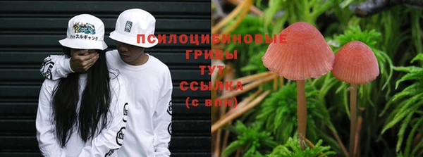 твердый Переславль-Залесский
