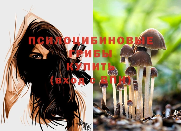 2c-b Покачи