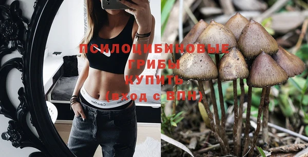 спайс Видное