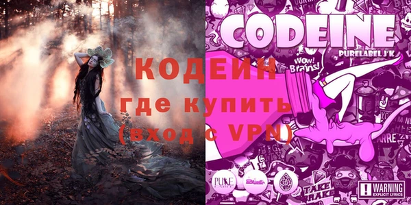 PSILOCYBIN Пересвет